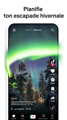 TikTok Screenshot 2